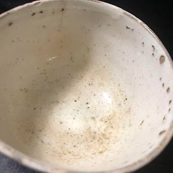 Amazon.co.jp: 蔵からかなり古そうなトンボの絵付けの陶器が出